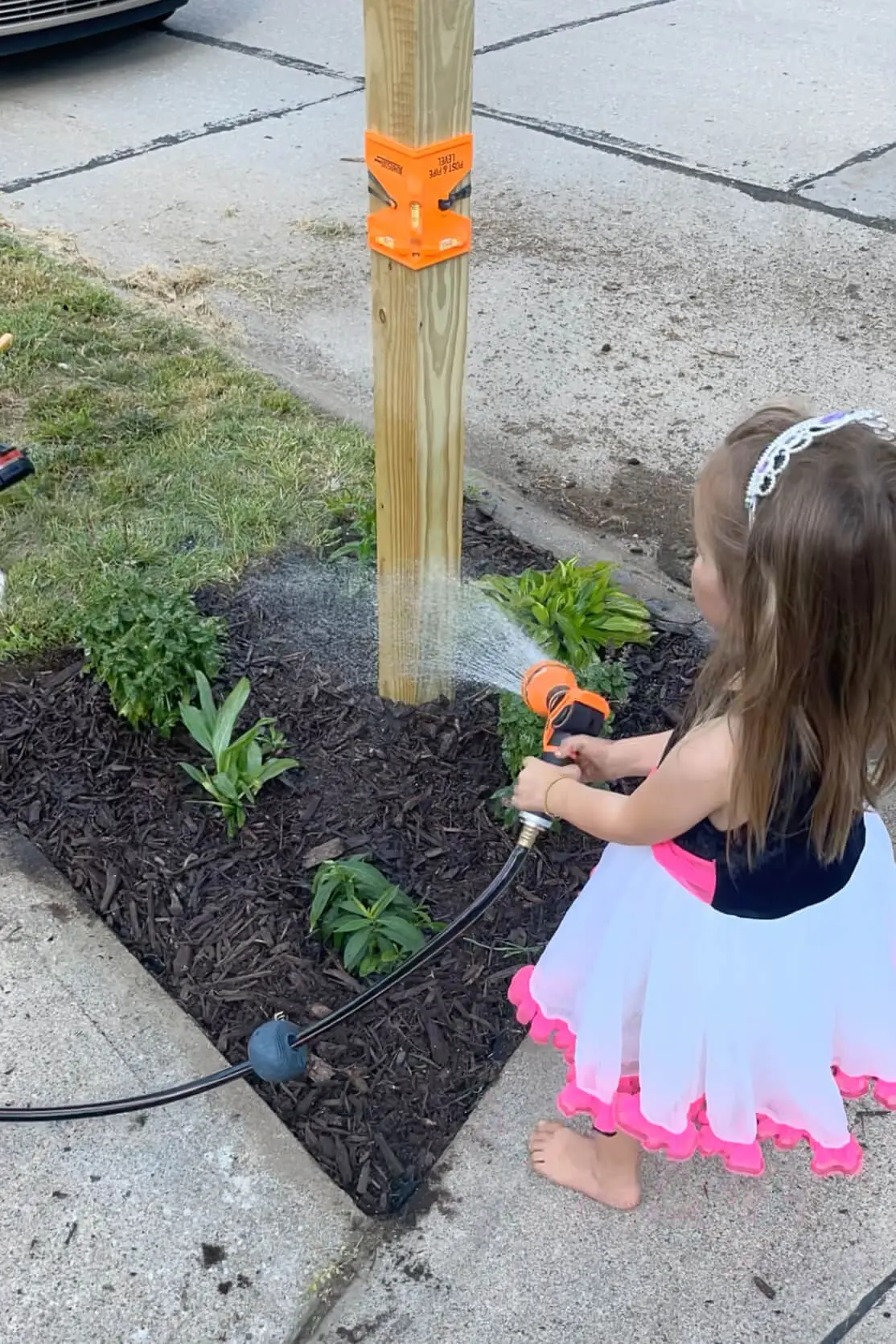 Watering plants with a Giraffe hose reel. 